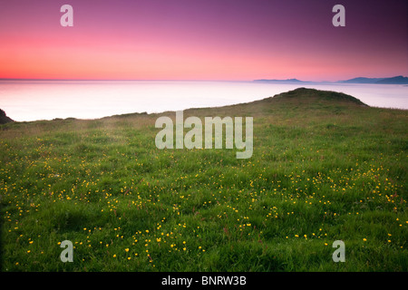 Im Sommer auf der Insel Runde an der norwegischen Westküste. Stockfoto