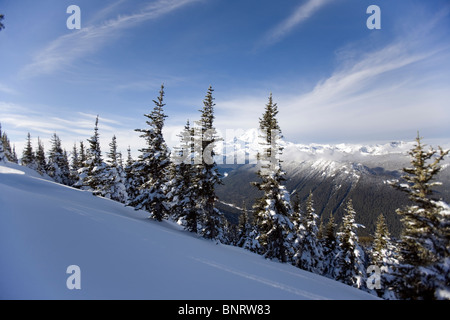 Mt. Rainier im US-Bundesstaat Washington wird von der Spitze eines Berges an einem klaren Wintertag gesehen. Stockfoto