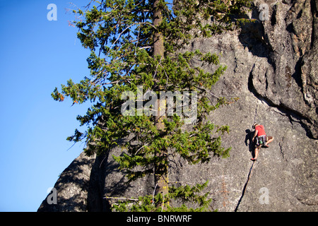 Ein männliche Kletterer steigt eine Route im traditionellen Stil, Lolo, Idaho. Stockfoto