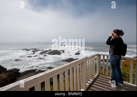 Pigeon Point Leuchtturm San Mateo Kalifornien USA Stockfoto