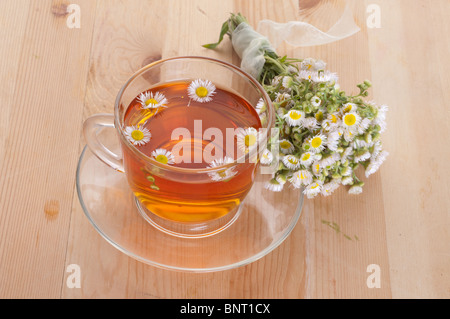 Tasse Kräutertee mit Kamillenblüten Stockfoto