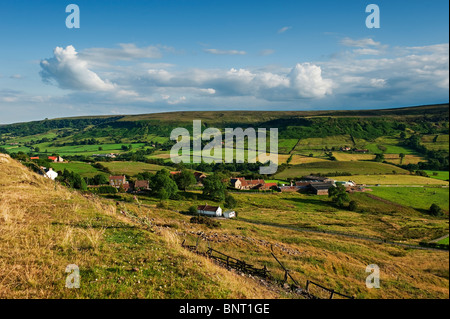 Blick nach Westen über Rosedale in Richtung hohe Haus Hof und das Dorf Thorgill Stockfoto