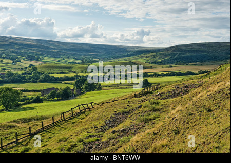 Blick Richtung Norden bis Rosedale nach Dale Head Farm und Blakey Ridge Stockfoto