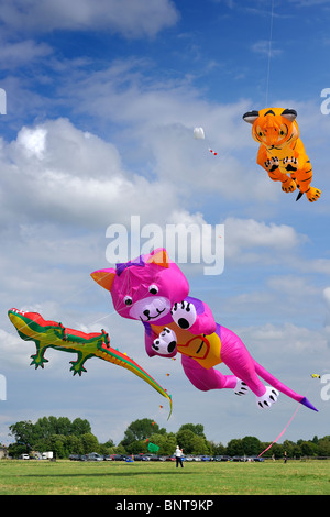 Drachen - Malmesbury Drachenfest Stockfoto