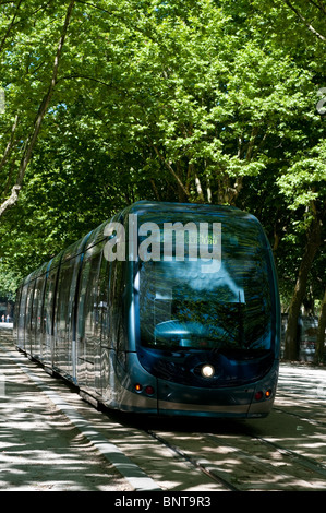 Straßenbahn läuft unter den Platanen auf der Esplanade des Quinconces, Bordeaux, Frankreich Stockfoto