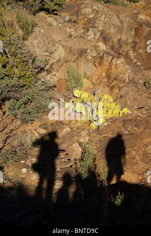 Sedona, Arizona, USA - Schatten des Fotografen und Touristen auf dem Feldweg Schnebly Hill Jeeptour stoppen Stockfoto