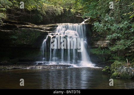 Kessel-Kraft am West Burton, Wensleydale, North Yorkshire Stockfoto