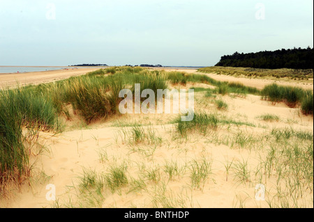 Dünen am Strand entlang North Norfolk Küste UK Stockfoto