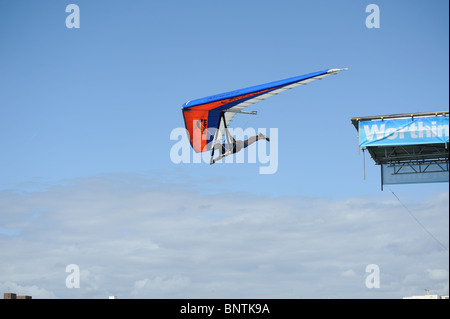 Worthing Vogelmann Stockfoto