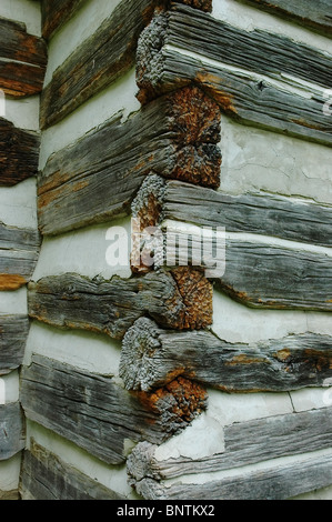 Log-Bau von der alten Mulkey Gemeindehaus State Historic Site (1804), politisch, KY. Stockfoto