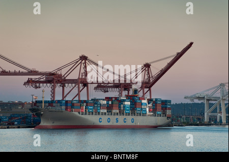 Riesige Kräne be- und Entladen der Fracht in den Hafen von Seattle, Washington, USA Schiffe ziehen im Trockendock für Reparaturen und Wartung. Stockfoto