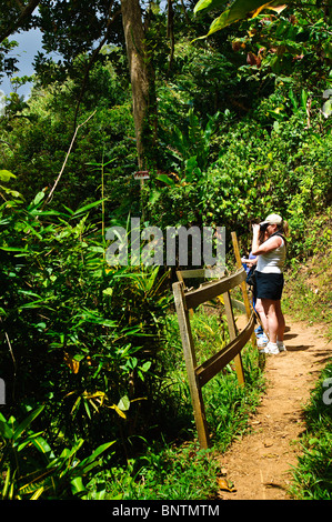 Wandern auf sieben Schwestern-Wasserfall-Trail in Grenada Stockfoto