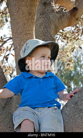 Lächelnde junge sitzt in einem Baum, Queensland, Australien Stockfoto