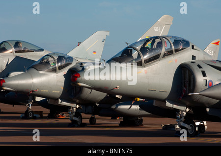 Einzel- und 2-Sitzer Harrier GR9 Flugzeuge Stockfoto