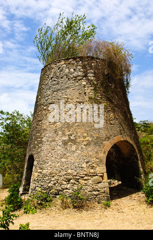 Alte Zuckermühle Ruinen Carriacou, Grenada, Windward Islands, Karibik. Stockfoto