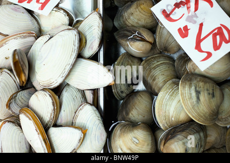 Muscheln auf dem Display im Markt Stockfoto