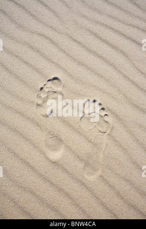 Fußspuren im sand Stockfoto
