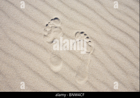 Fußspuren im sand Stockfoto