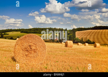 Bereich der Stroh Rundballen nach Weizen-Ernte - Indre-et-Loire, Frankreich. Stockfoto