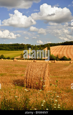 Bereich der Stroh Rundballen nach Weizen-Ernte - Indre-et-Loire, Frankreich. Stockfoto