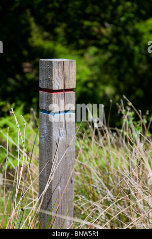 Hölzerne Strecke Marker post Stockfoto