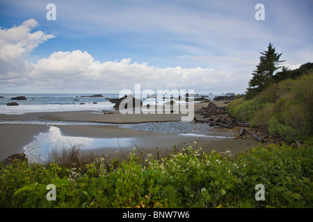 Pazifischen Ozean entlang der schroffen felsigen Südküste in Oregon Harris Beach State Park Stockfoto