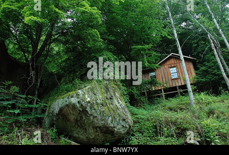 Bergbau Lager Kabine an Barthell Coal Mining Camp, Kentucky Stockfoto