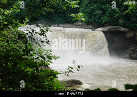 Cumberland Falls am Cumberland River, KY. Stockfoto