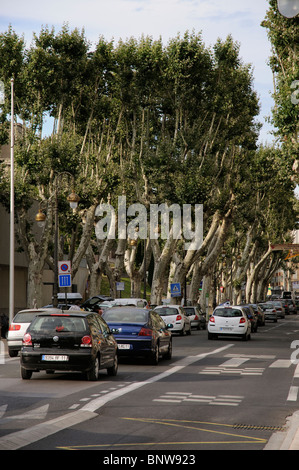 Einbahnverkehr auf einer Ebene, von Bäumen gesäumten Straße in Narbonne Stadtzentrum Südfrankreich Stockfoto