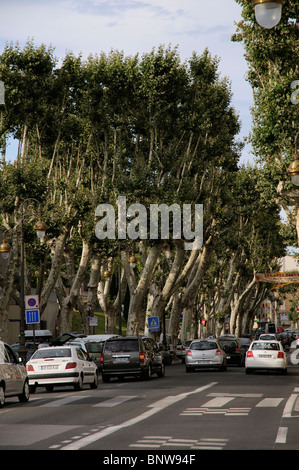 Einbahnverkehr auf einer Ebene, von Bäumen gesäumten Straße in Narbonne Stadtzentrum Südfrankreich Stockfoto