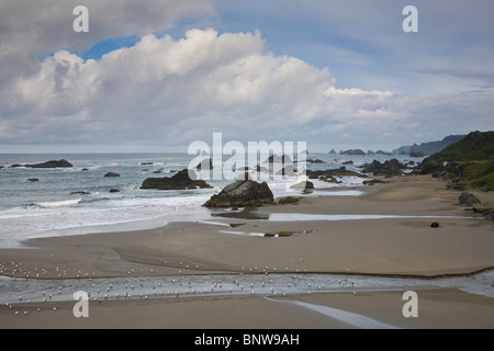 Pazifischen Ozean entlang der schroffen felsigen Südküste in Oregon Harris Beach State Park Stockfoto