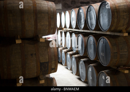 Whisky-Fässern bei Glen Moray Distillery, Speyside, Schottland Stockfoto