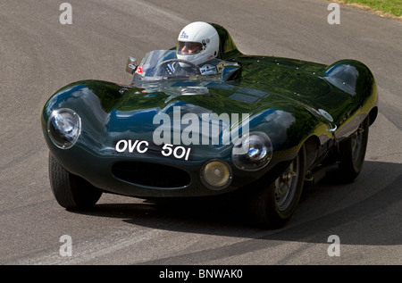 1954 Jaguar D-Type Prototyp auf der 2010 Goodwood Festival of Speed, Sussex, England, UK. Stockfoto