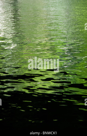 Reflexionen im Paseo del Rio in der Innenstadt von San Antonio, Texas, USA Stockfoto