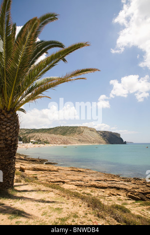 Eine Palme steht am Meer und am Strand von Praia de Luz, in der Nähe von Lagos an der Algarve in Portugal. Stockfoto