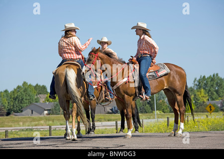 Reiter in einem Viehtrieb Ochsen bringen die Cheyenne Frontier Days Rodeo, auf ihrem Weg nach Cheyenne, Wyoming Stockfoto