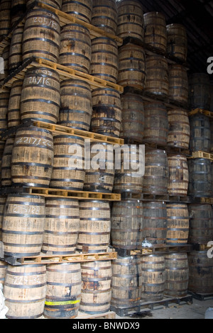 Whisky-Fässern bei Glen Moray Distillery, Speyside, Schottland Stockfoto