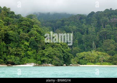 wilde tropische Seenlandschaft in Tioman Island, malaysia Stockfoto