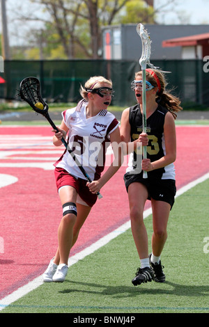 Kampf um den Ball in der Frau High School Lacrosse Stockfoto