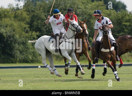 Kollision mit eine Rückhand erschossen grau Pony Stockfoto