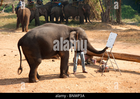 Elefant, Malerei, ChiangMai, Thailand Stockfoto