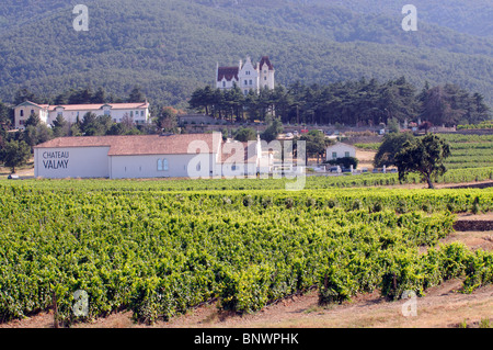 Die Reben des Château Valmy in der Cotes du Roussillon Weinanbaugebiet im Süden Frankreichs Stockfoto