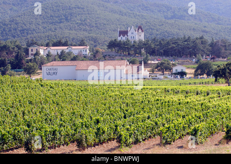 Die Reben des Château Valmy in der Cotes du Roussillon Weinanbaugebiet im Süden Frankreichs Stockfoto