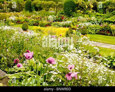 Ornamantal Blumengarten im Chenies Manor House, Bucks, UK Stockfoto