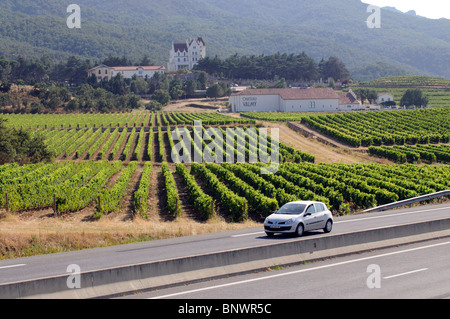 Die Reben des Château Valmy in der Cotes du Roussillon Weinanbaugebiet im Süden Frankreichs Stockfoto