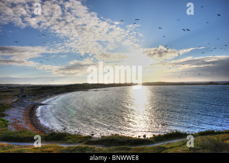 Pembroke Bay, Nordostküste, Guernsey, Channel Islands, UK, Europa Stockfoto