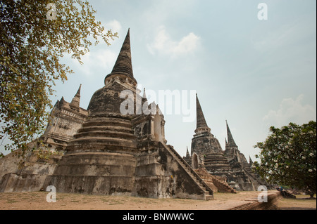 Wat Phra Si Sanphet, Ayutthaya, Provinz Ayutthaya, Thailand, Asien Stockfoto