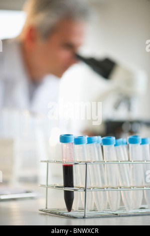 Fläschchen im Forschungslabor Stockfoto