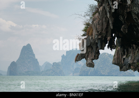 Ungewöhnliche Kalkstein oder Karst, Inseln in der Bucht von Phang Nga, Thailand Stockfoto