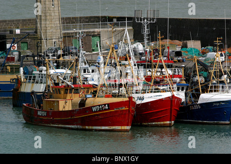 Irland, Waterford, Dunmore East, Boote im Hafen Stockfoto